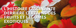 L'histoire fascinante derrière certains des fruits et légumes exotiques les plus populaires de septembre